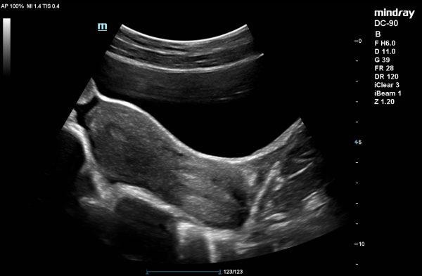 DC-90_X-2313421521324